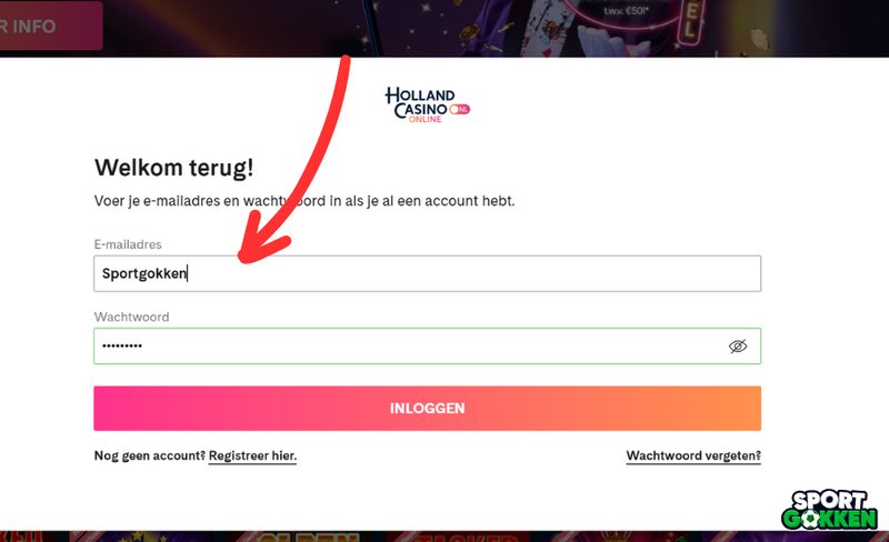 Probleem: Trage inlogprocedures bij Nederlandse online casino’s